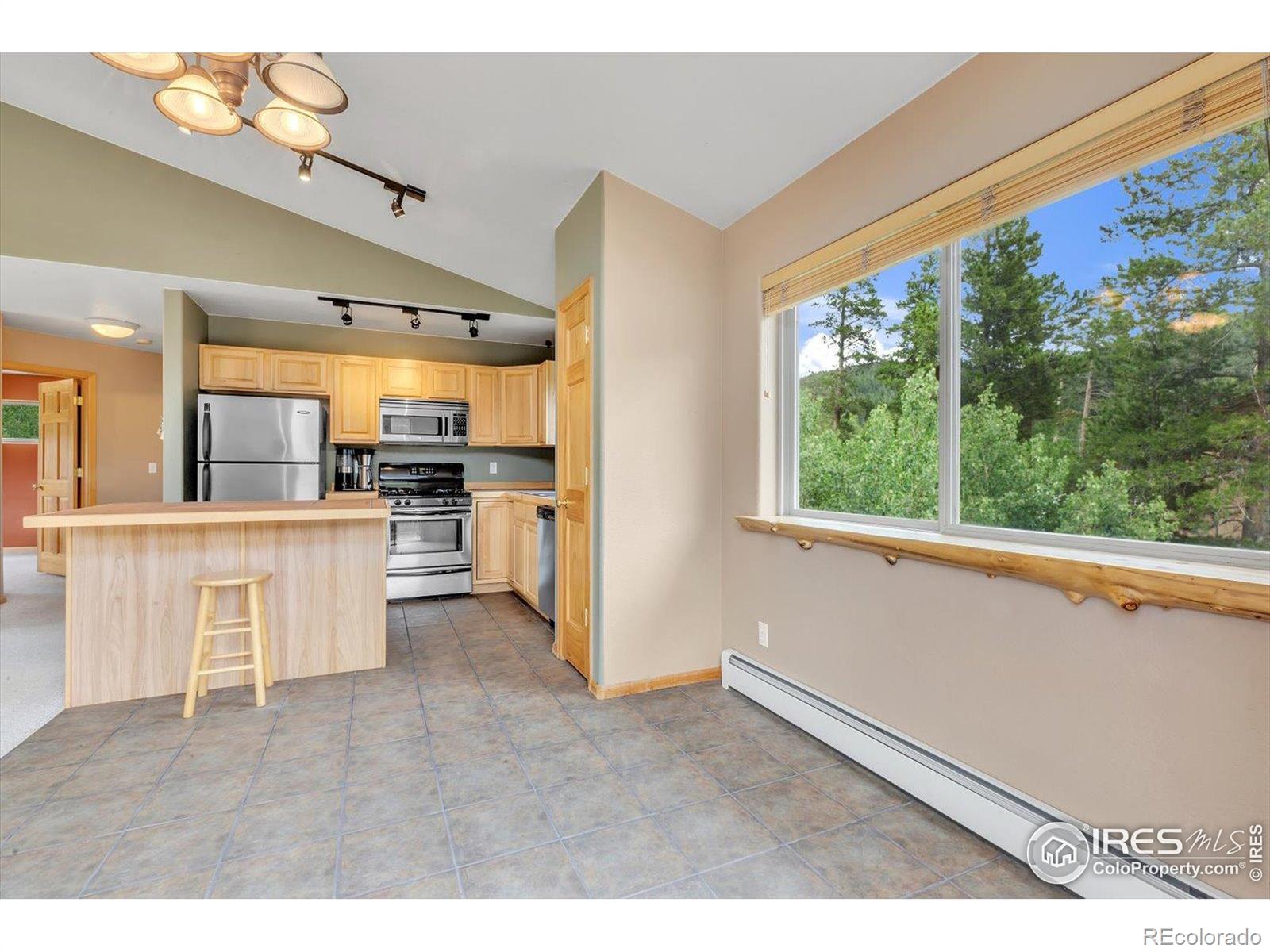 MLS Image #10 for 212  glen mawr drive,black hawk, Colorado