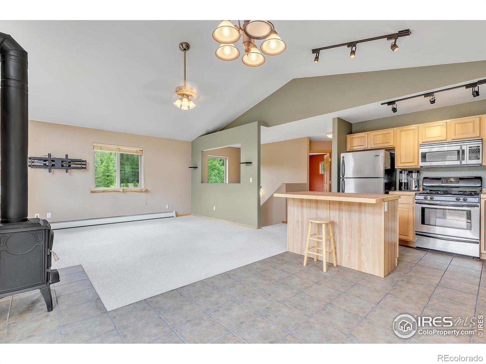 MLS Image #6 for 212  glen mawr drive,black hawk, Colorado