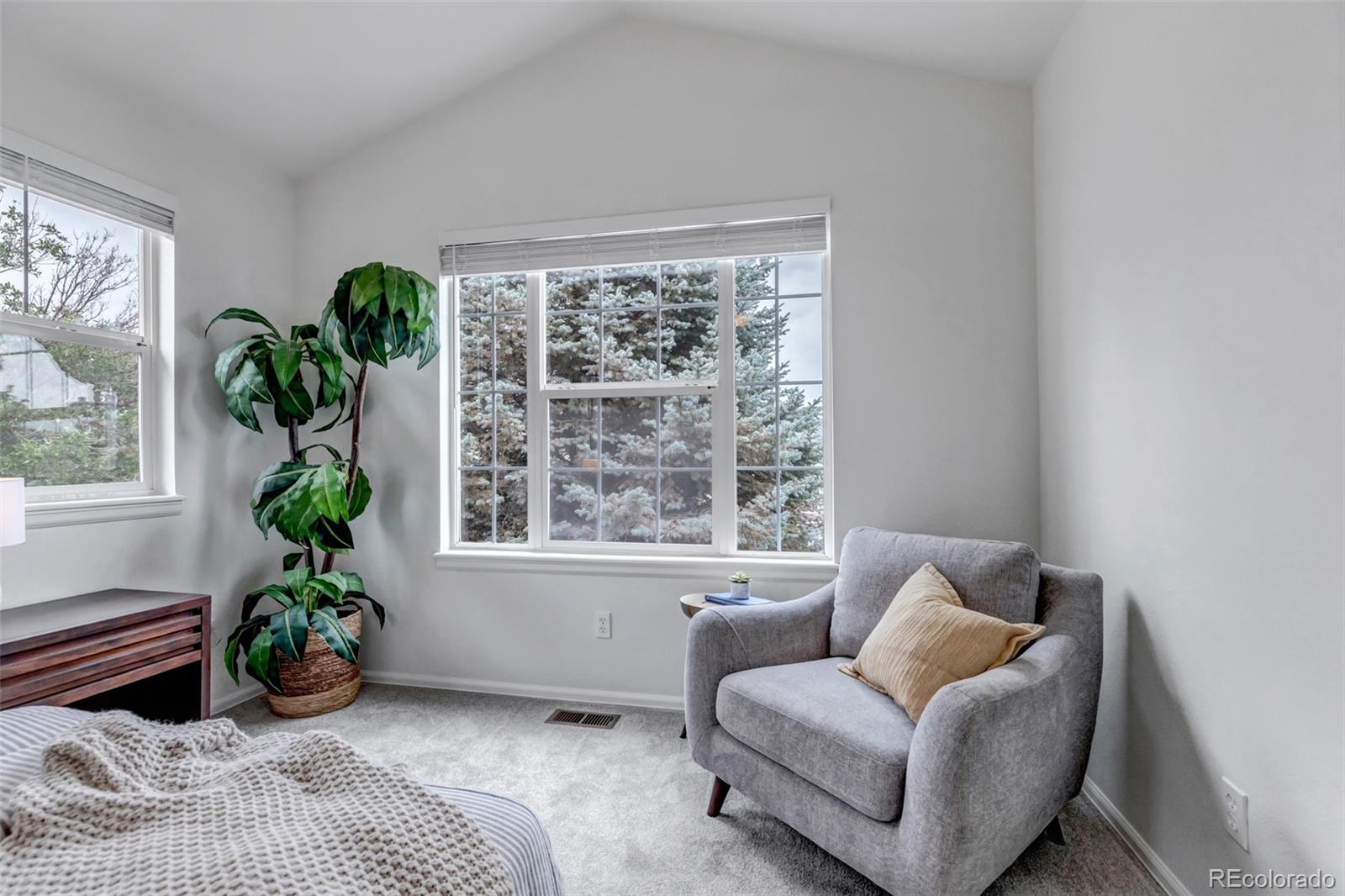 MLS Image #27 for 3708  bucknell drive,highlands ranch, Colorado