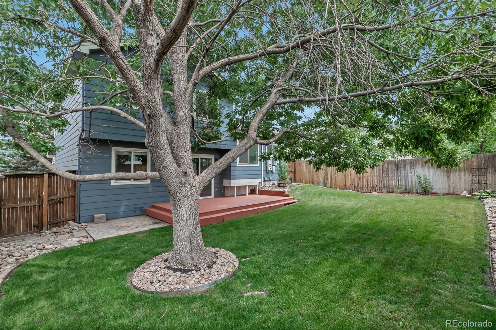 MLS Image #39 for 3708  bucknell drive,highlands ranch, Colorado