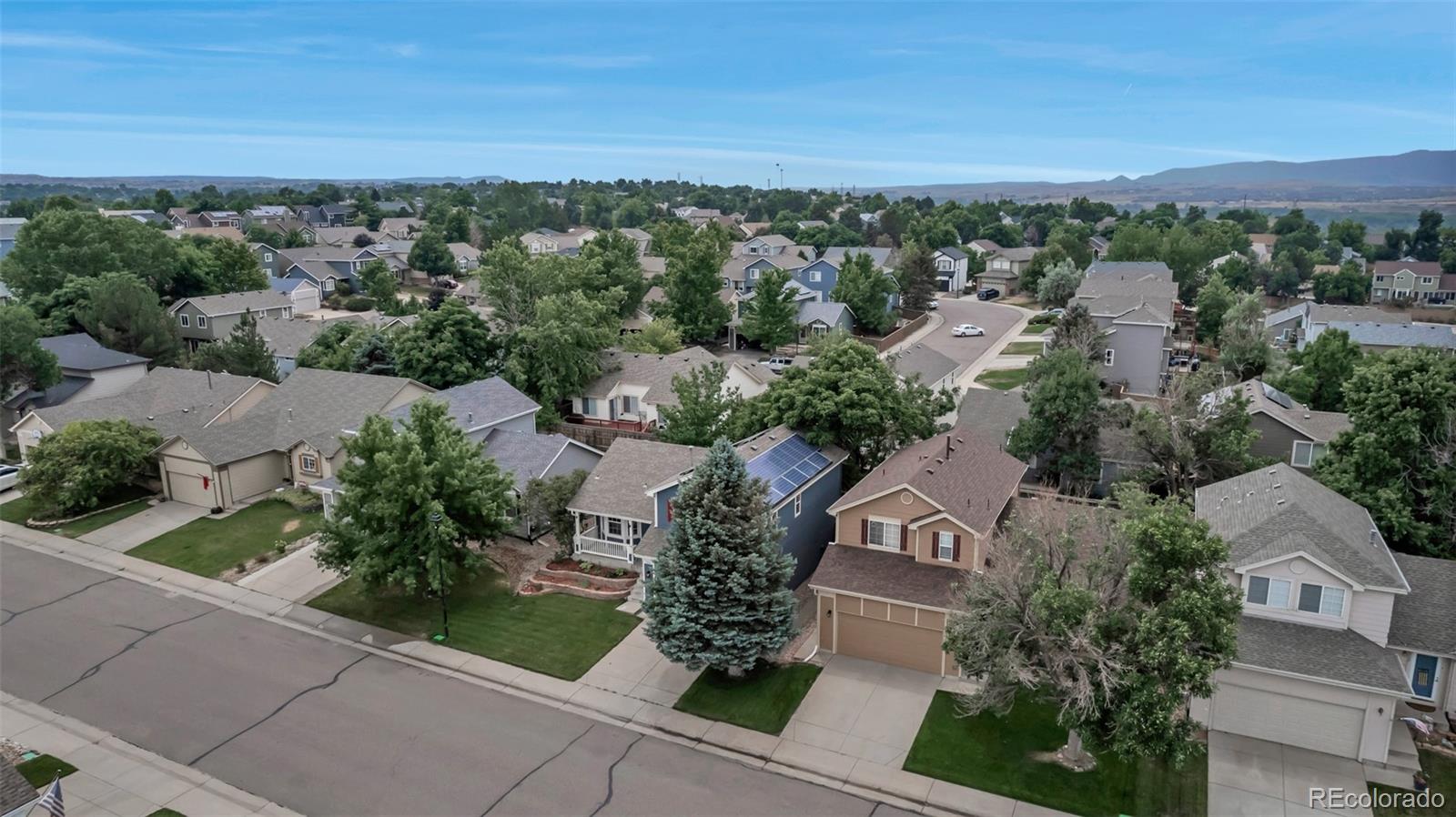 MLS Image #4 for 3708  bucknell drive,highlands ranch, Colorado