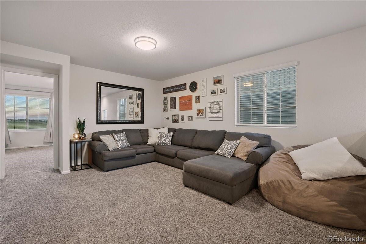 MLS Image #20 for 6921  green stalk circle,colorado springs, Colorado