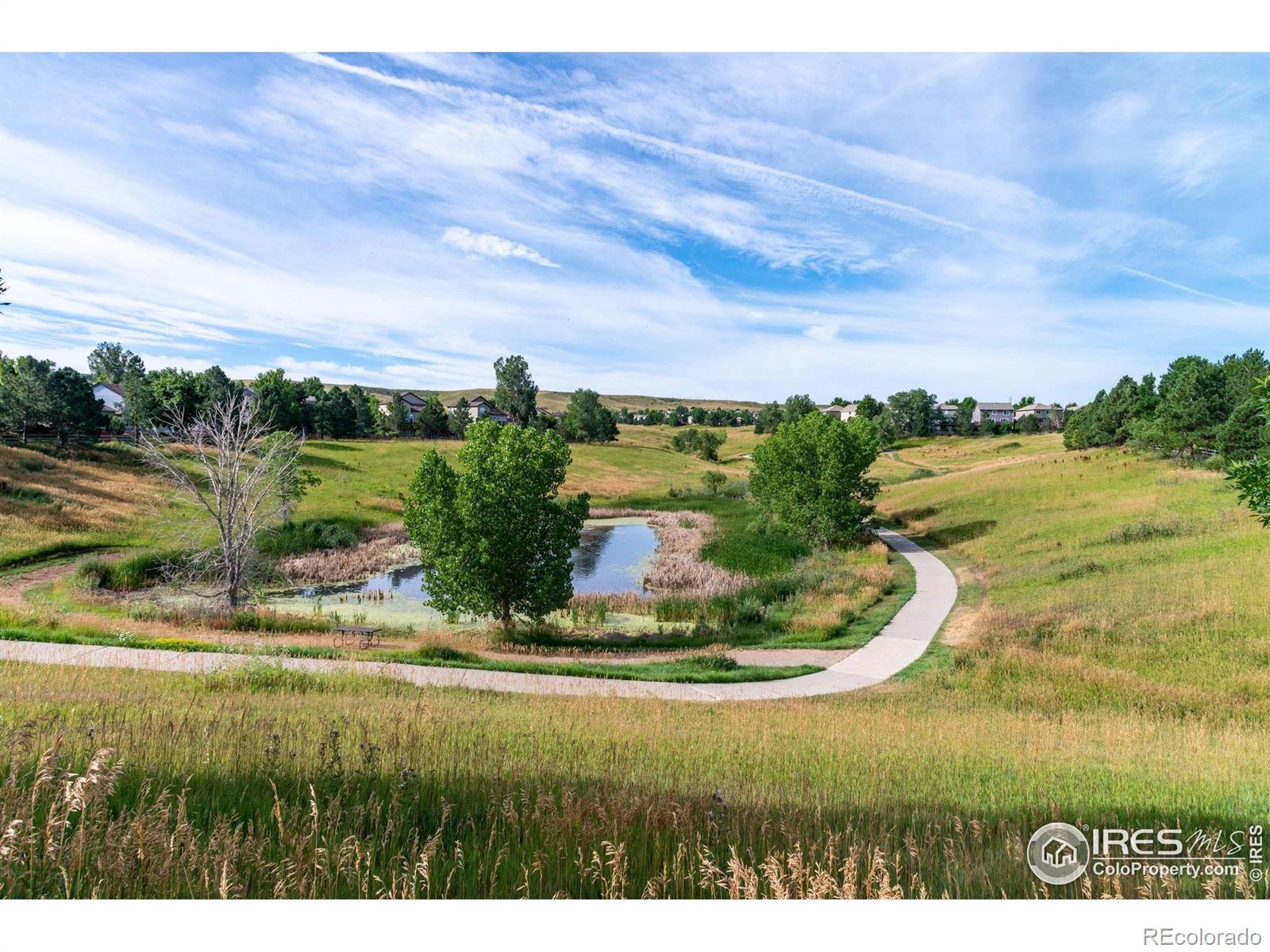 MLS Image #4 for 2909  basil place,superior, Colorado