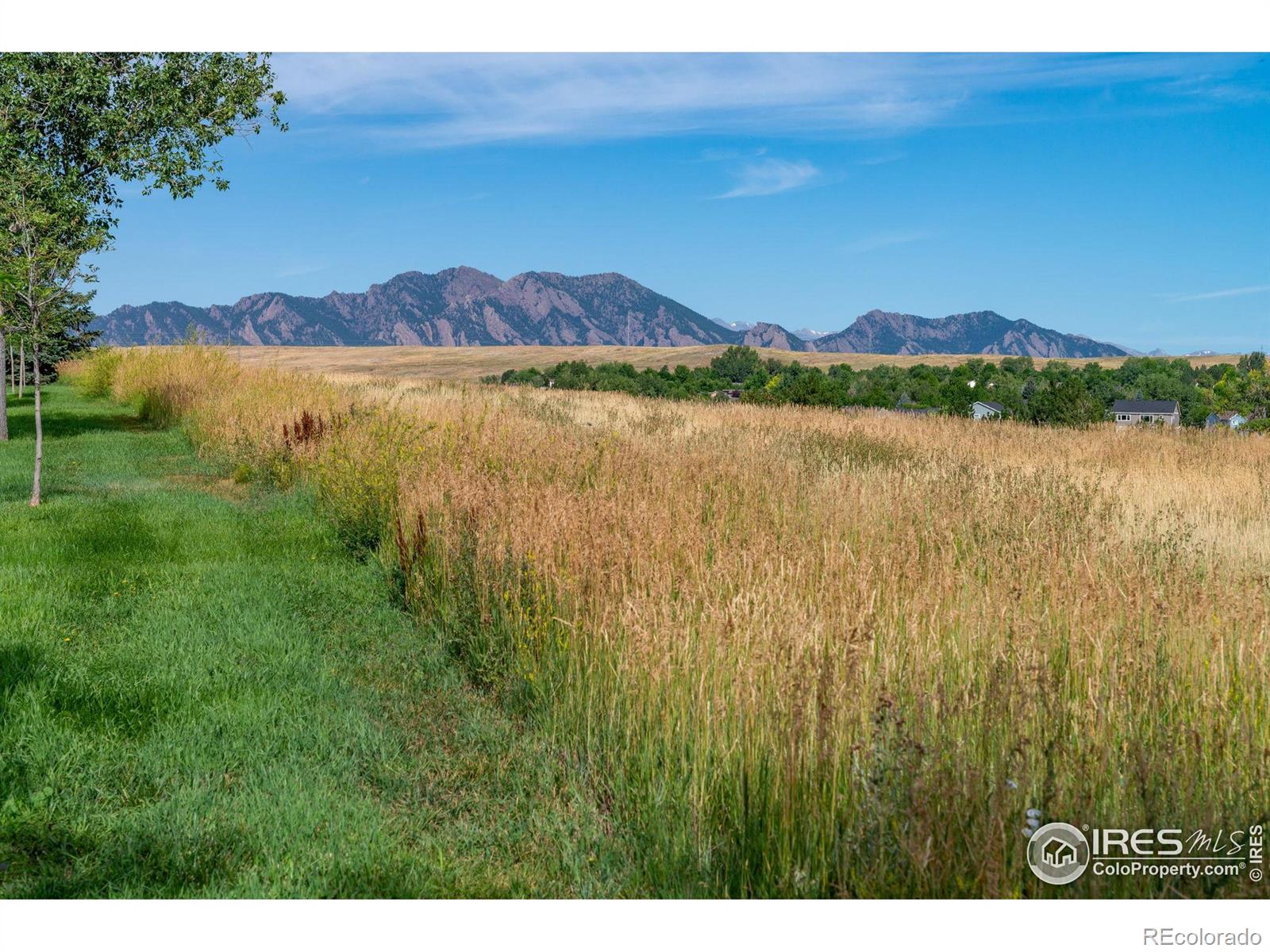 MLS Image #5 for 2909  basil place,superior, Colorado