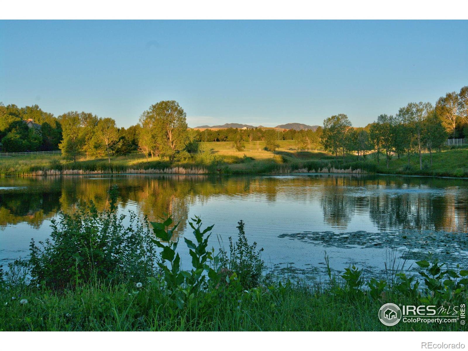 MLS Image #6 for 2909  basil place,superior, Colorado