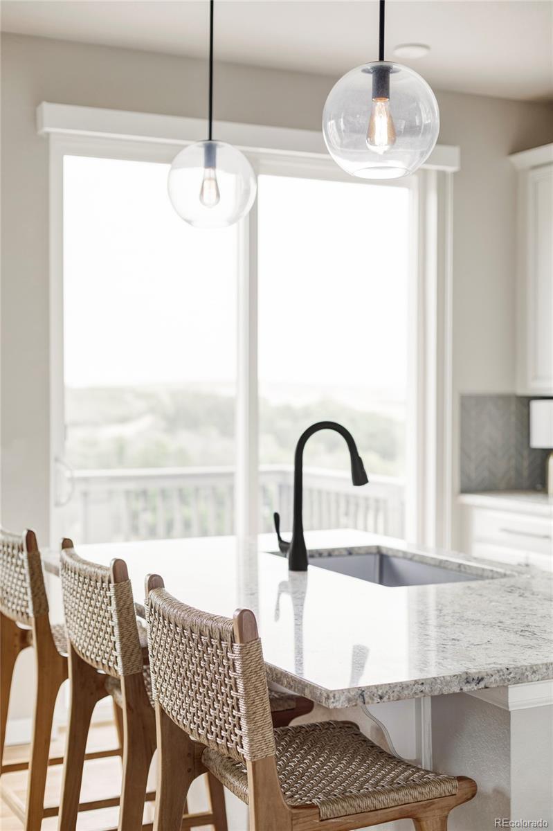 MLS Image #10 for 476  hyde park circle,castle pines, Colorado