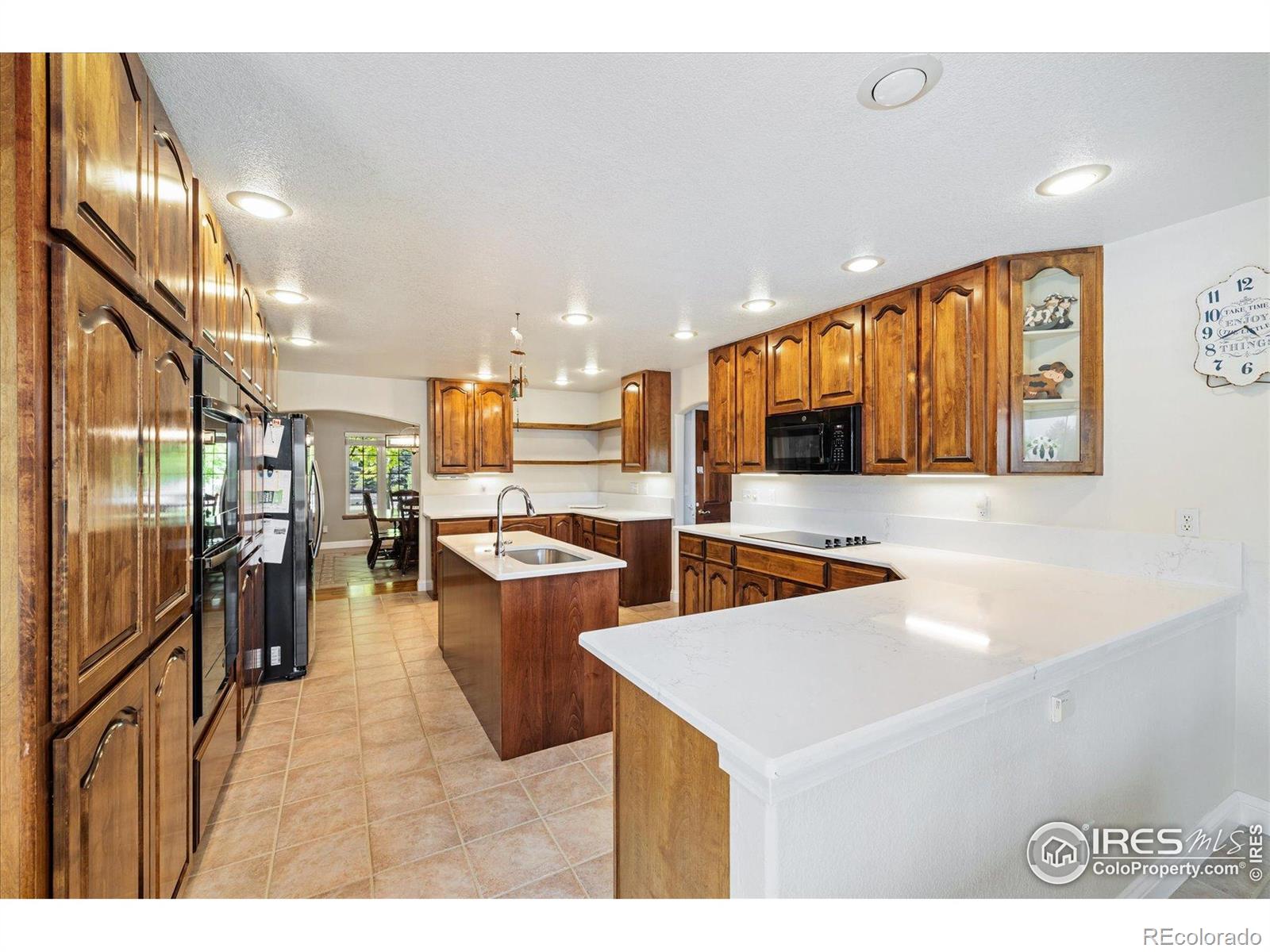 MLS Image #6 for 3806  singletree court,mead, Colorado