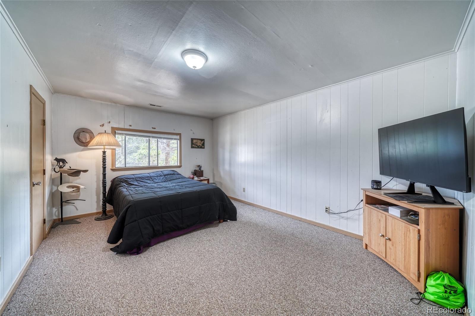 MLS Image #12 for 1705  delane street,leadville, Colorado