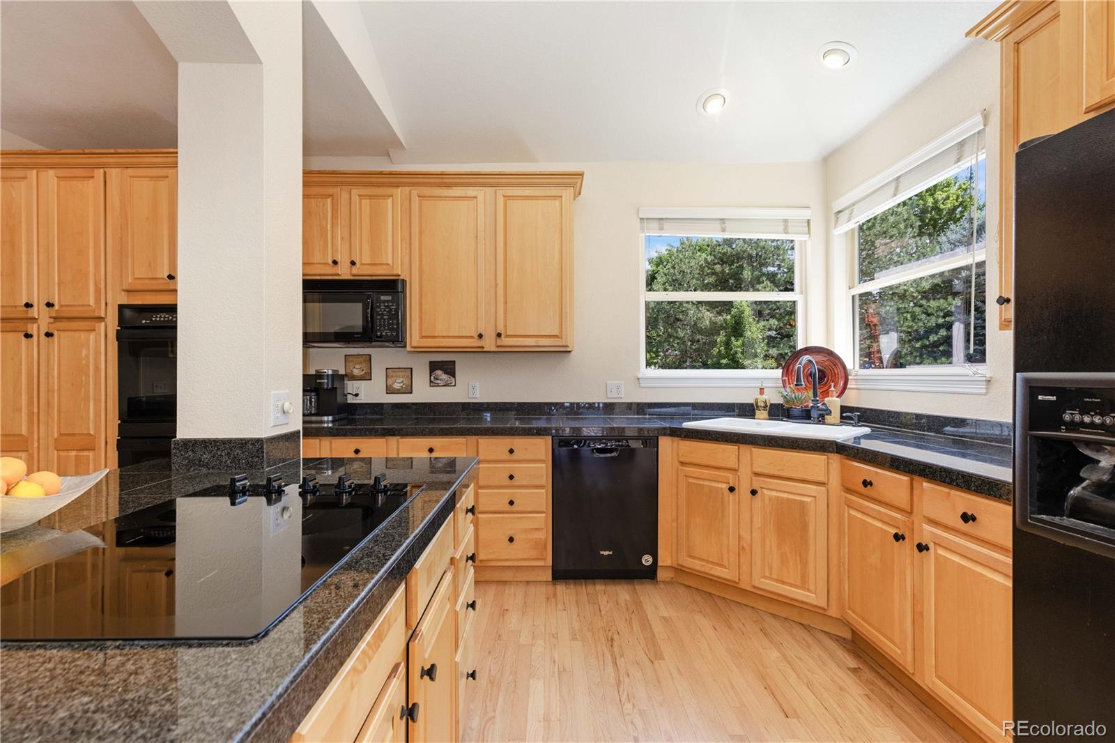 MLS Image #15 for 556  rachael place,castle pines, Colorado
