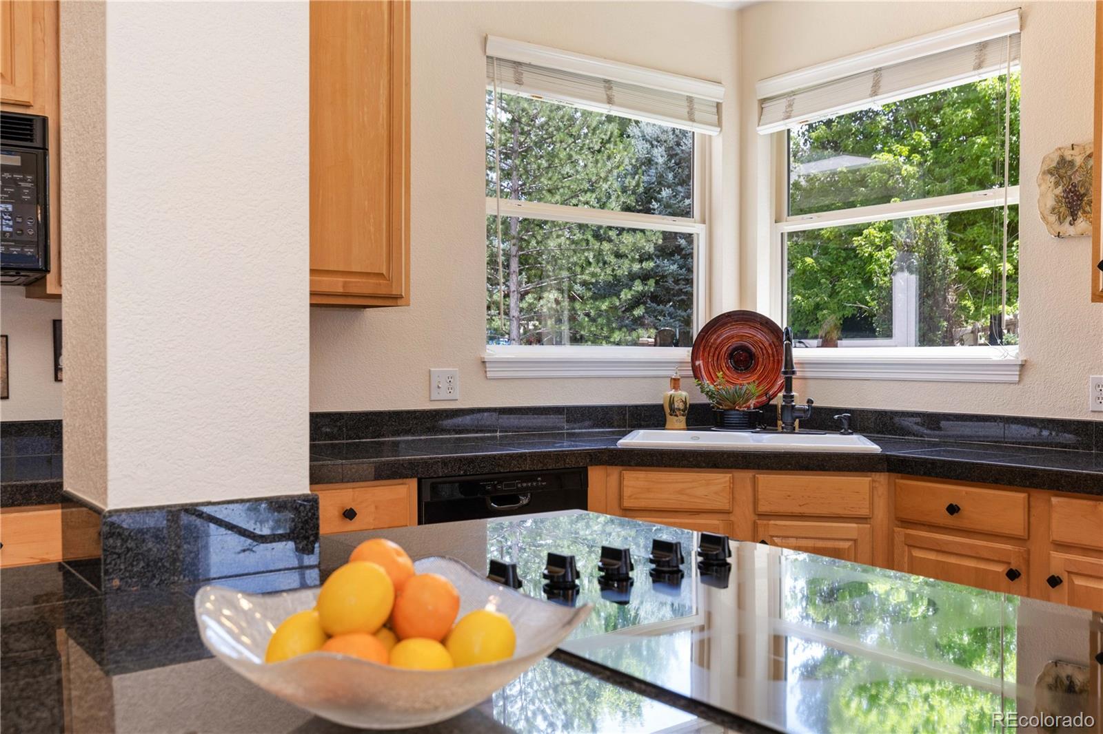 MLS Image #16 for 556  rachael place,castle pines, Colorado