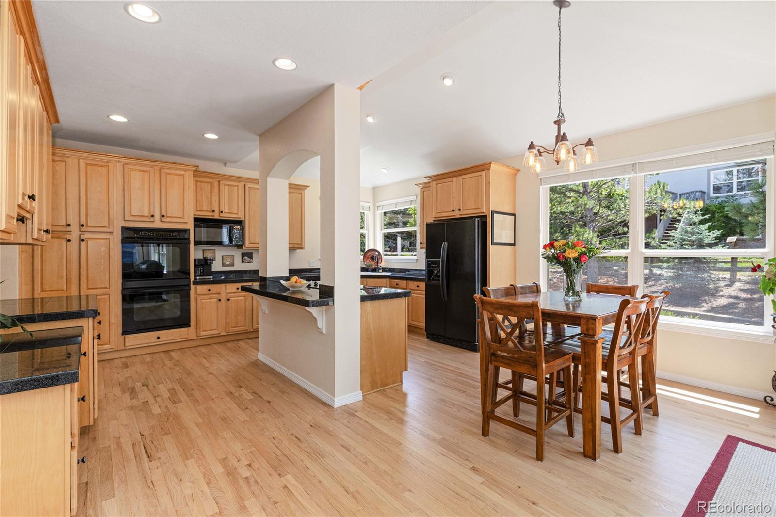 MLS Image #8 for 556  rachael place,castle pines, Colorado