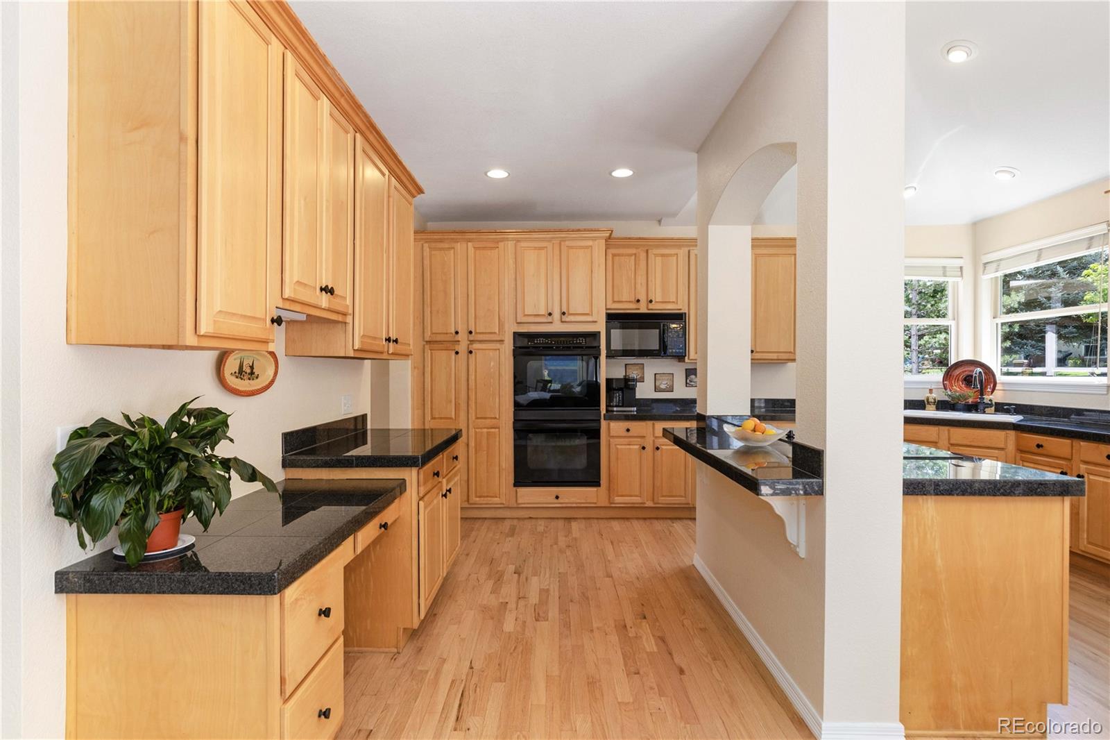 MLS Image #9 for 556  rachael place,castle pines, Colorado