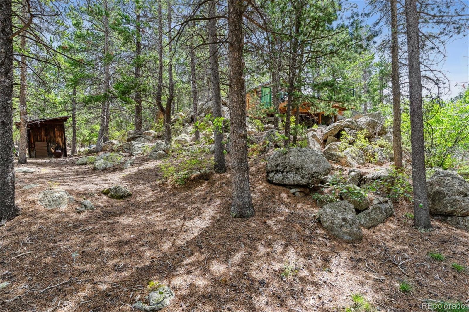 MLS Image #12 for 306  olde carter lake road,golden, Colorado