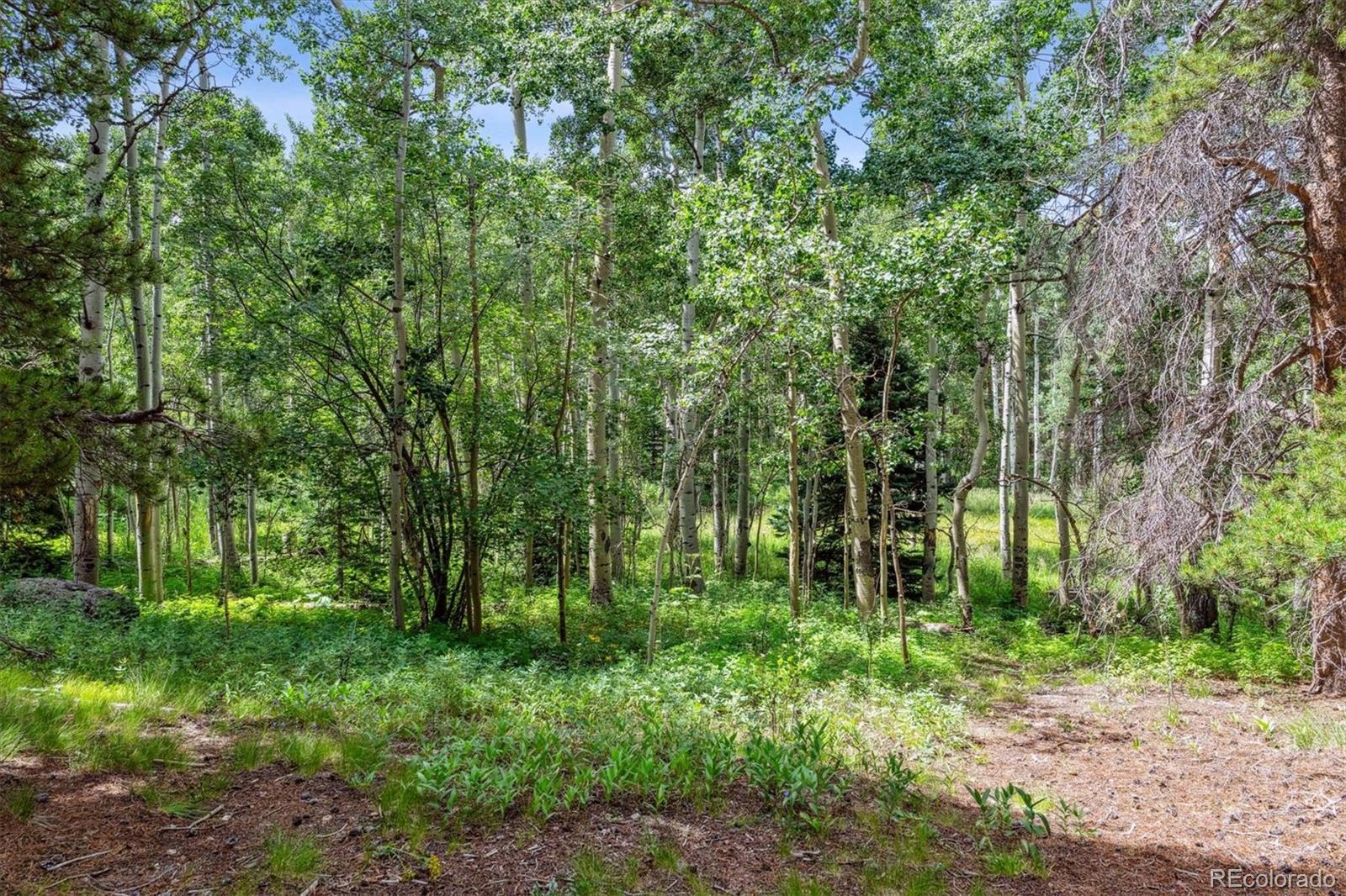 MLS Image #14 for 306  olde carter lake road,golden, Colorado