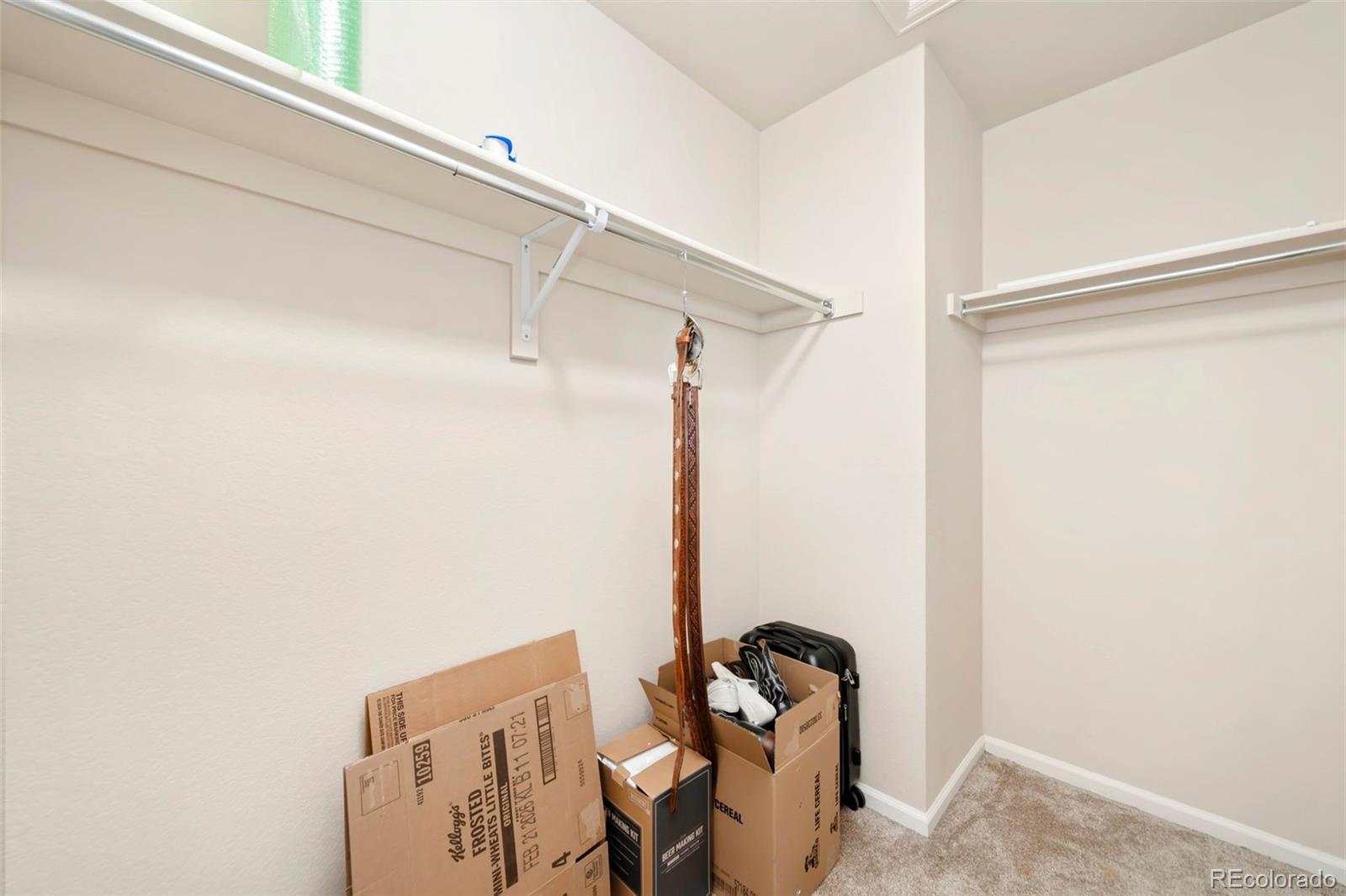MLS Image #30 for 6504  zimmerman lake road,timnath, Colorado