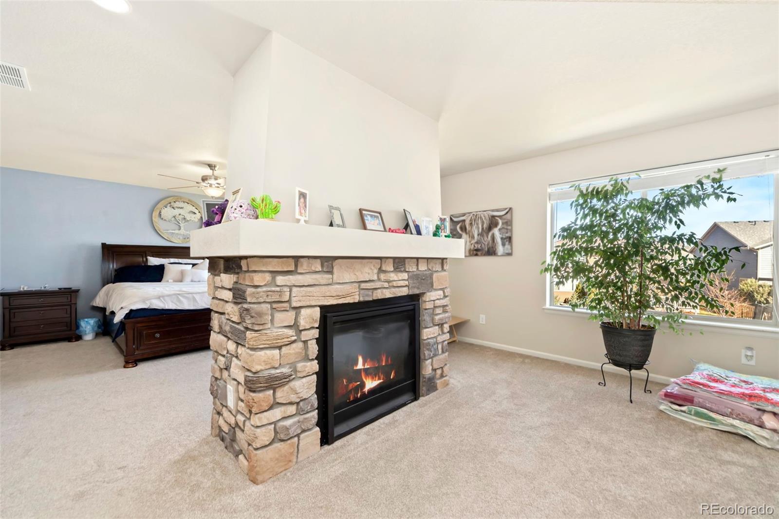 MLS Image #6 for 6504  zimmerman lake road,timnath, Colorado