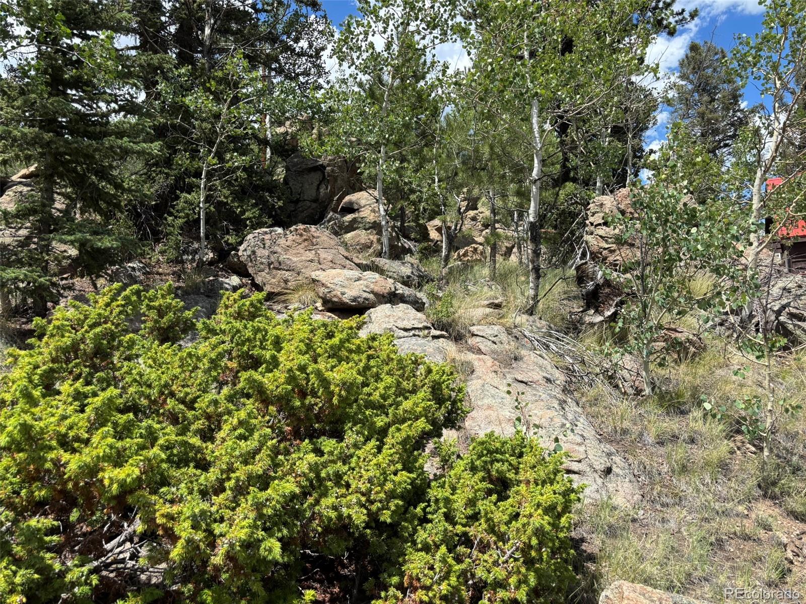 MLS Image #30 for 2138  overland circle,jefferson, Colorado