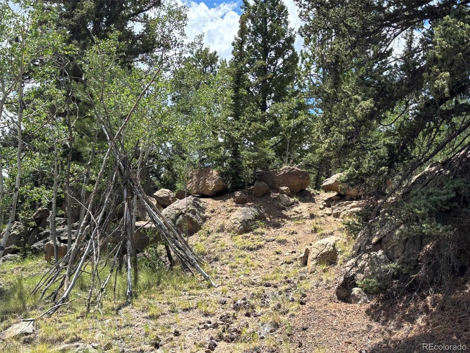 MLS Image #37 for 2138  overland circle,jefferson, Colorado