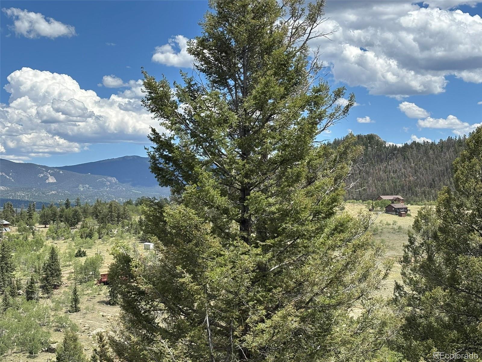 MLS Image #38 for 2138  overland circle,jefferson, Colorado