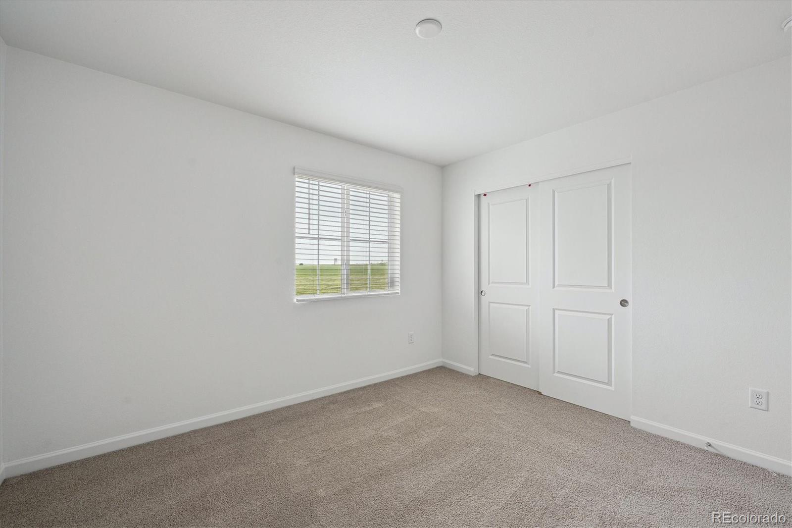 MLS Image #13 for 4692  short horn drive,johnstown, Colorado