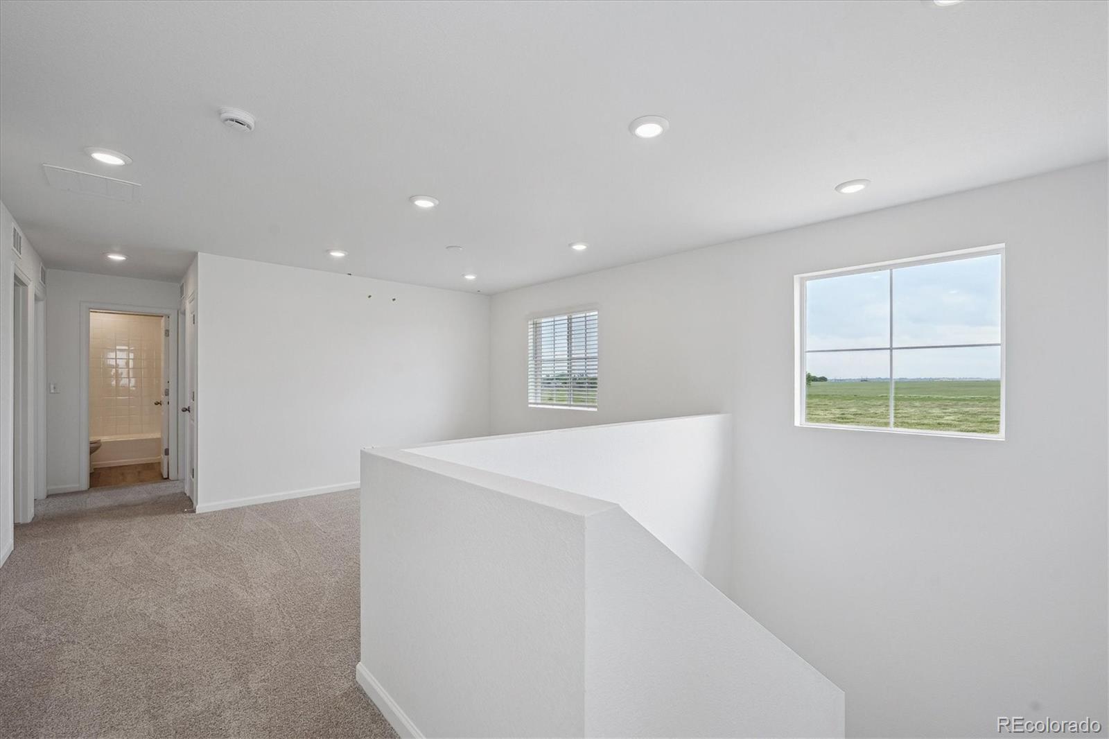 MLS Image #9 for 4692  short horn drive,johnstown, Colorado