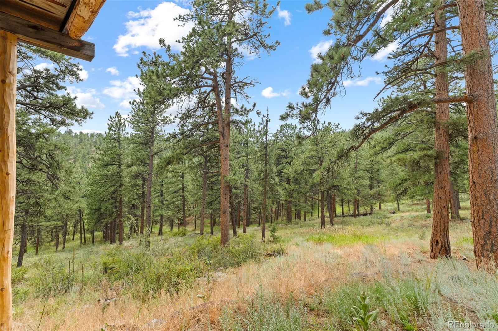 MLS Image #49 for 28776  summit ranch drive,golden, Colorado