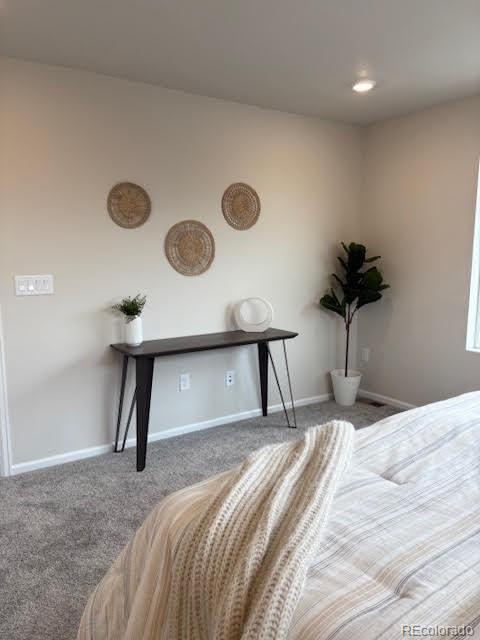 MLS Image #7 for 7384  watercress drive,littleton, Colorado