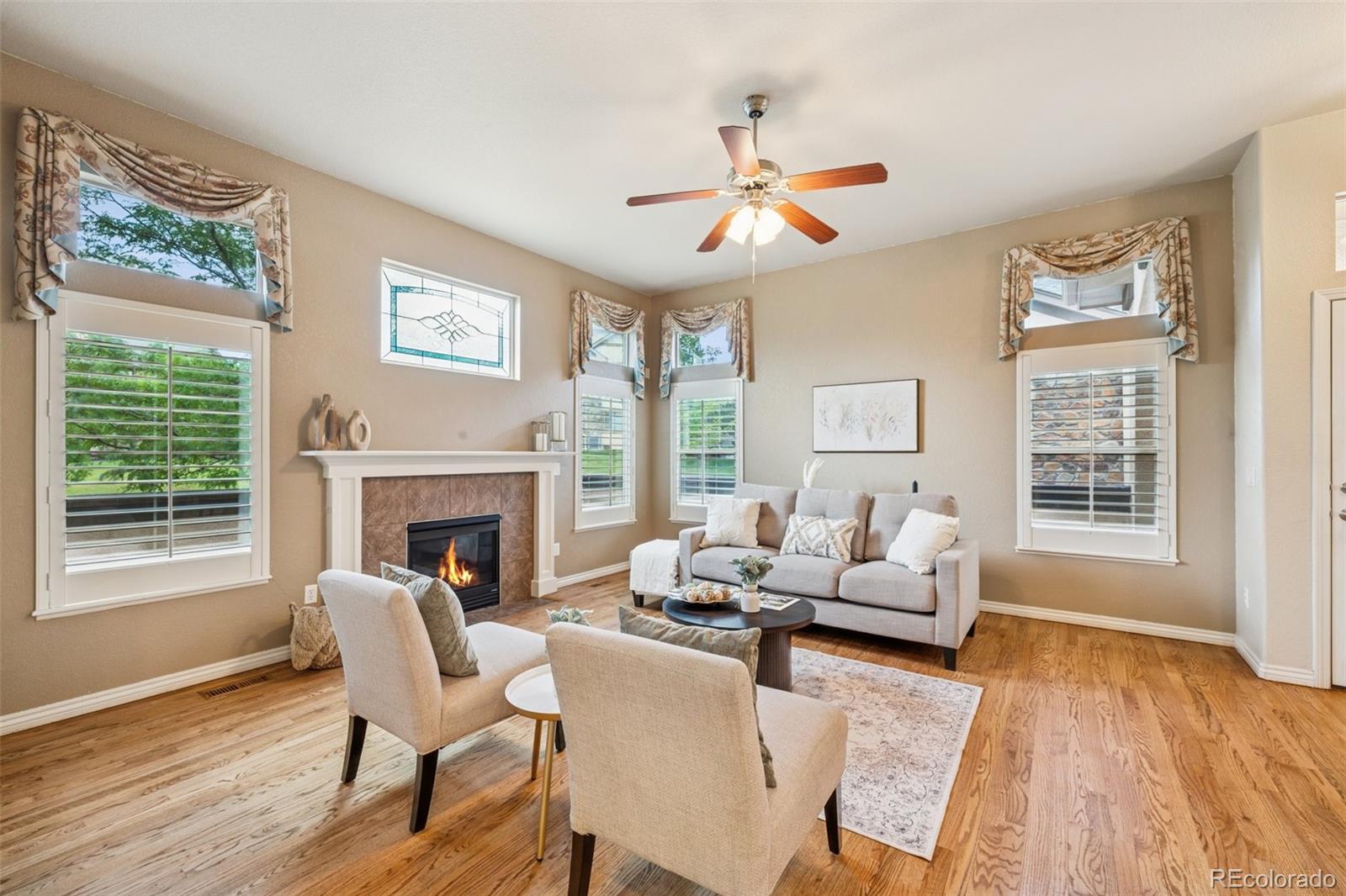 MLS Image #5 for 9659  carriage creek point,colorado springs, Colorado