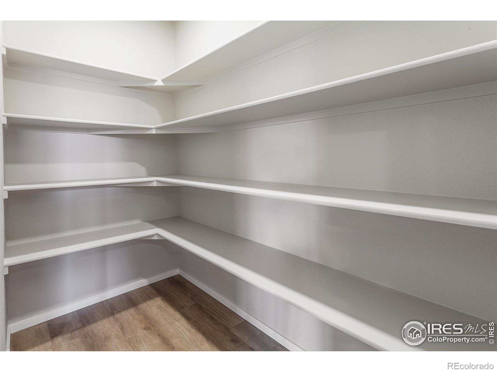 MLS Image #11 for 1610  sunflower way,johnstown, Colorado