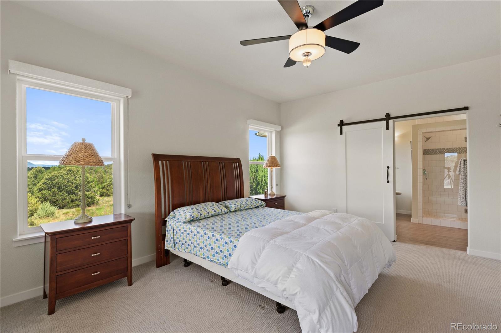MLS Image #18 for 410  rodeo drive,walsenburg, Colorado