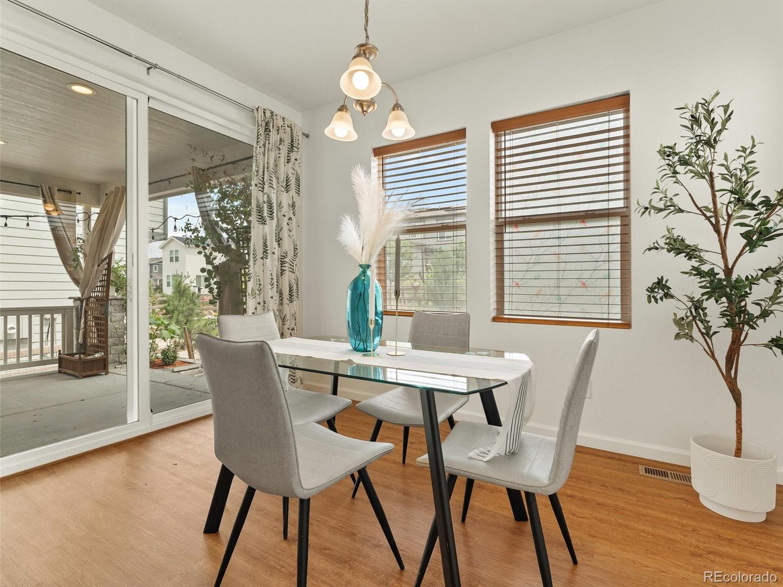 MLS Image #17 for 8926  swan river street,littleton, Colorado