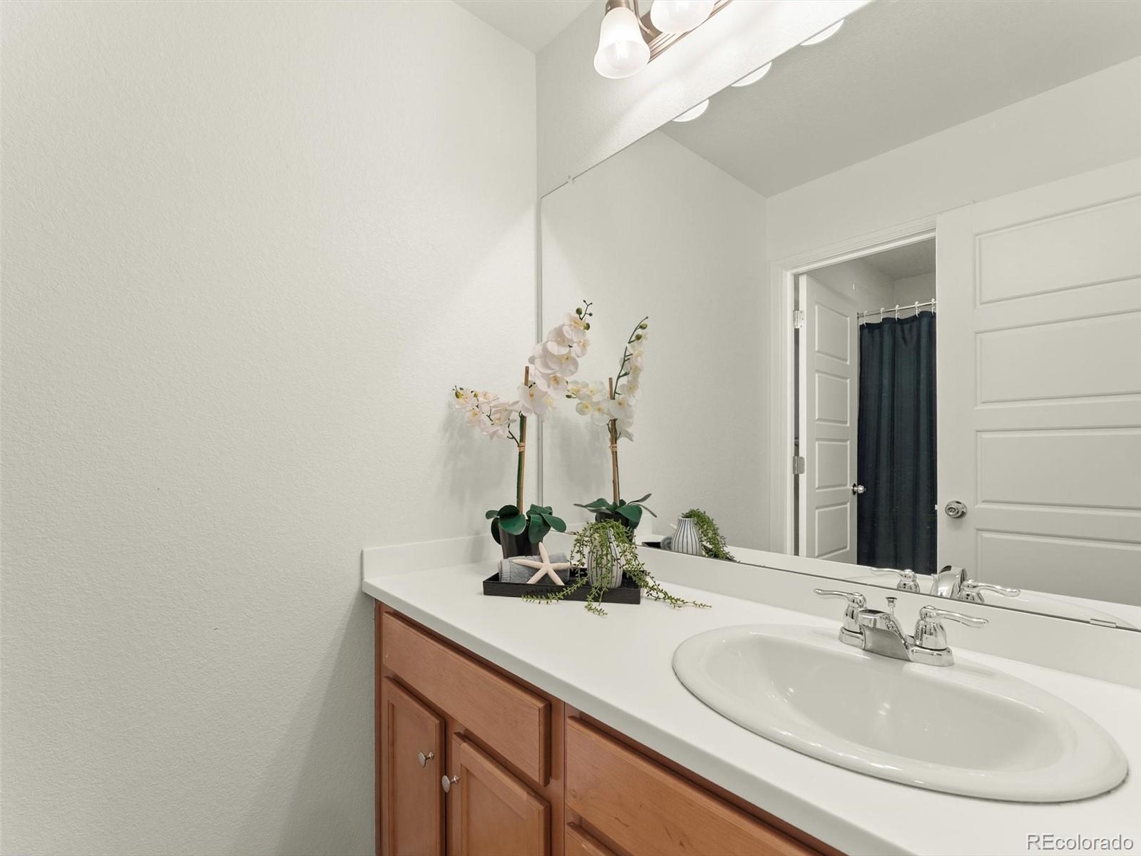 MLS Image #27 for 8926  swan river street,littleton, Colorado