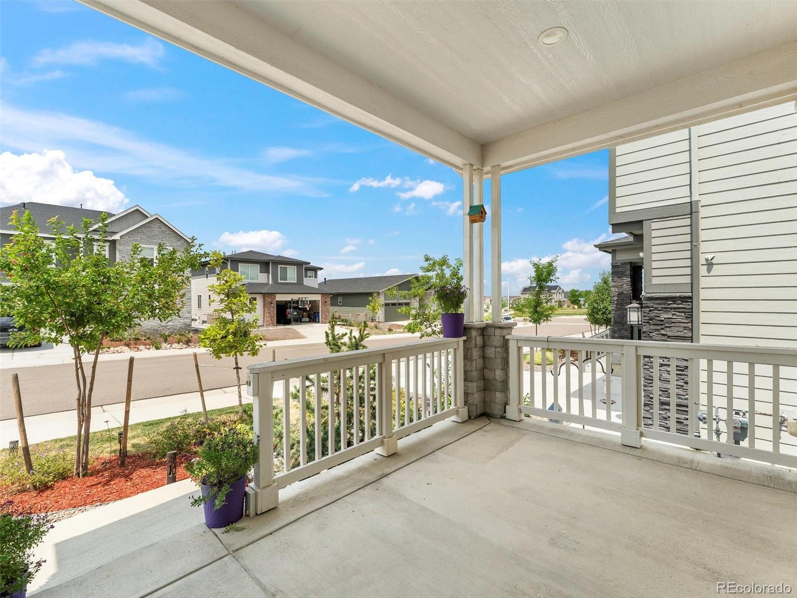 MLS Image #3 for 8926  swan river street,littleton, Colorado