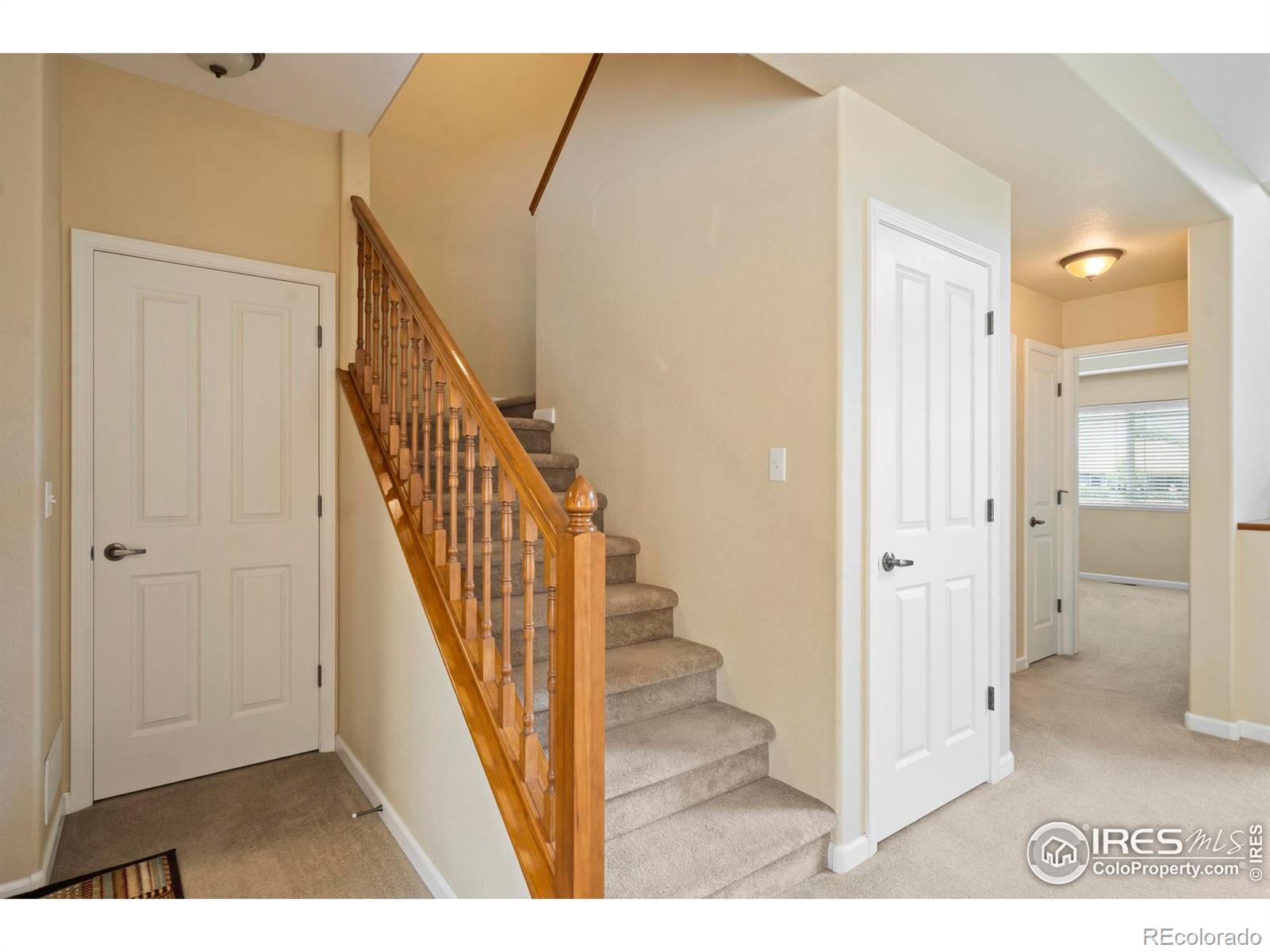 MLS Image #24 for 1438  sailcrest court,fort collins, Colorado