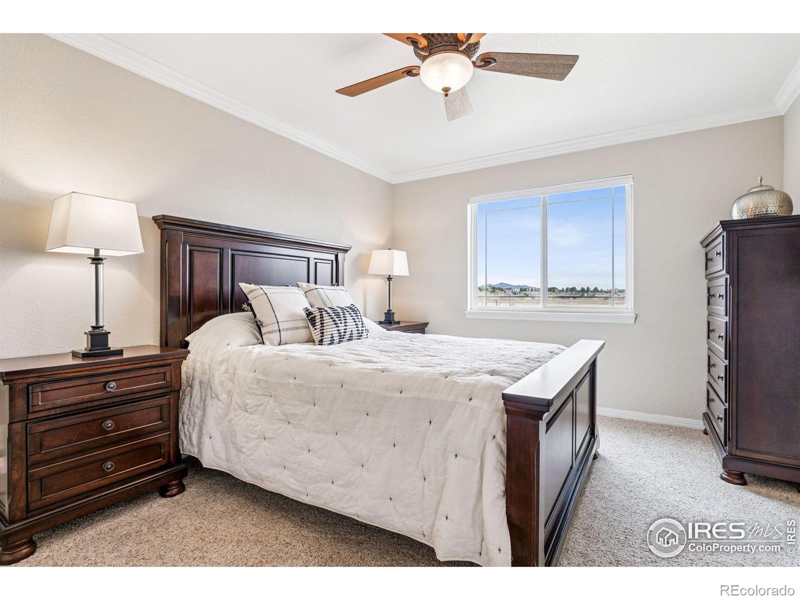 MLS Image #29 for 5714  bluff lane,loveland, Colorado