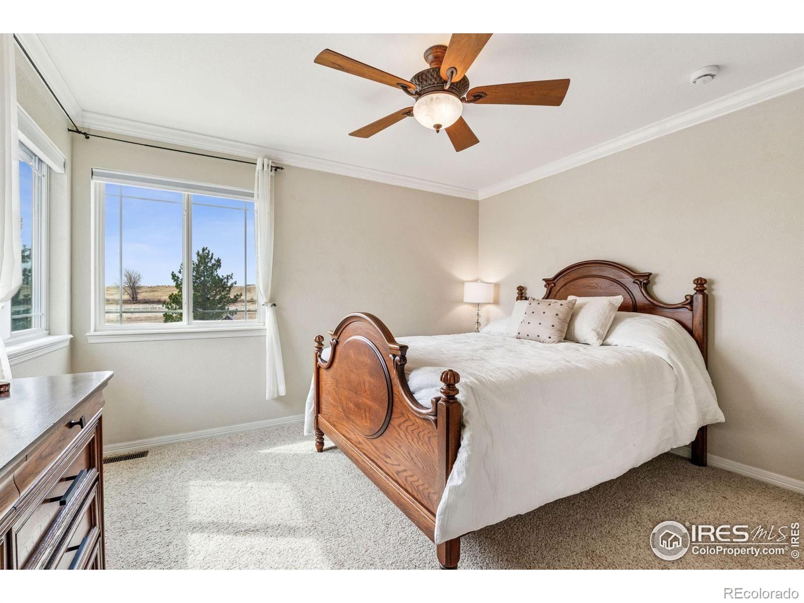 MLS Image #30 for 5714  bluff lane,loveland, Colorado