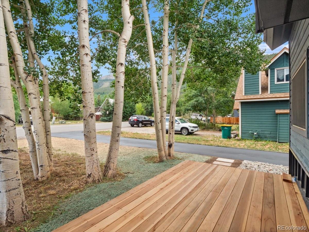 MLS Image #24 for 613  belford street,frisco, Colorado