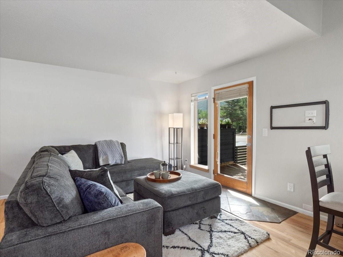 MLS Image #5 for 613  belford street,frisco, Colorado