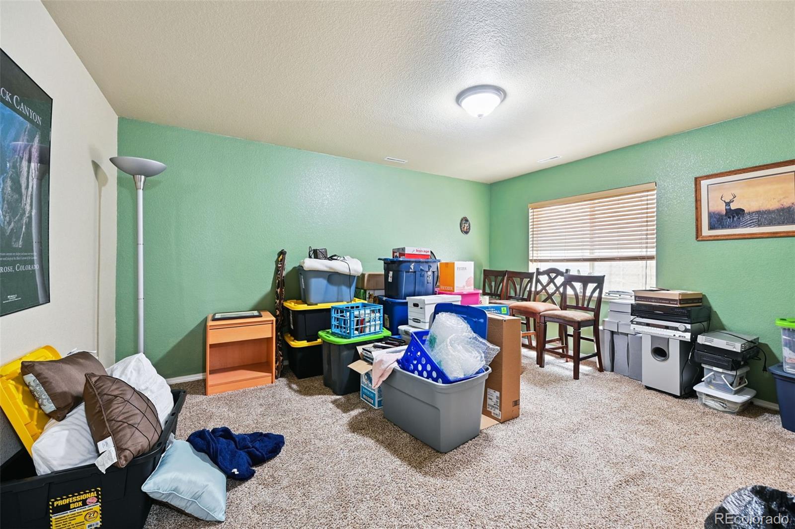 MLS Image #32 for 6292  tenderfoot drive,colorado springs, Colorado
