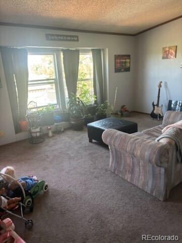 MLS Image #13 for 5915 w condor road,peyton, Colorado