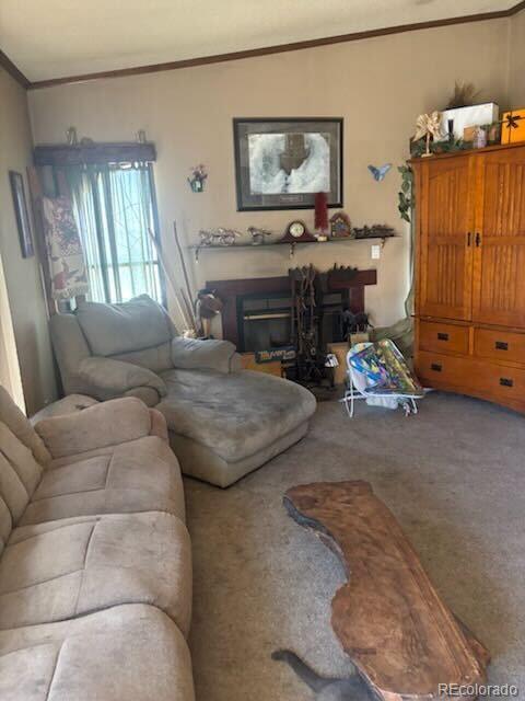 MLS Image #14 for 5915 w condor road,peyton, Colorado