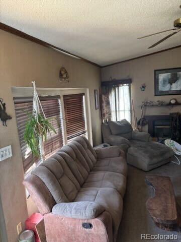 MLS Image #8 for 5915 w condor road,peyton, Colorado