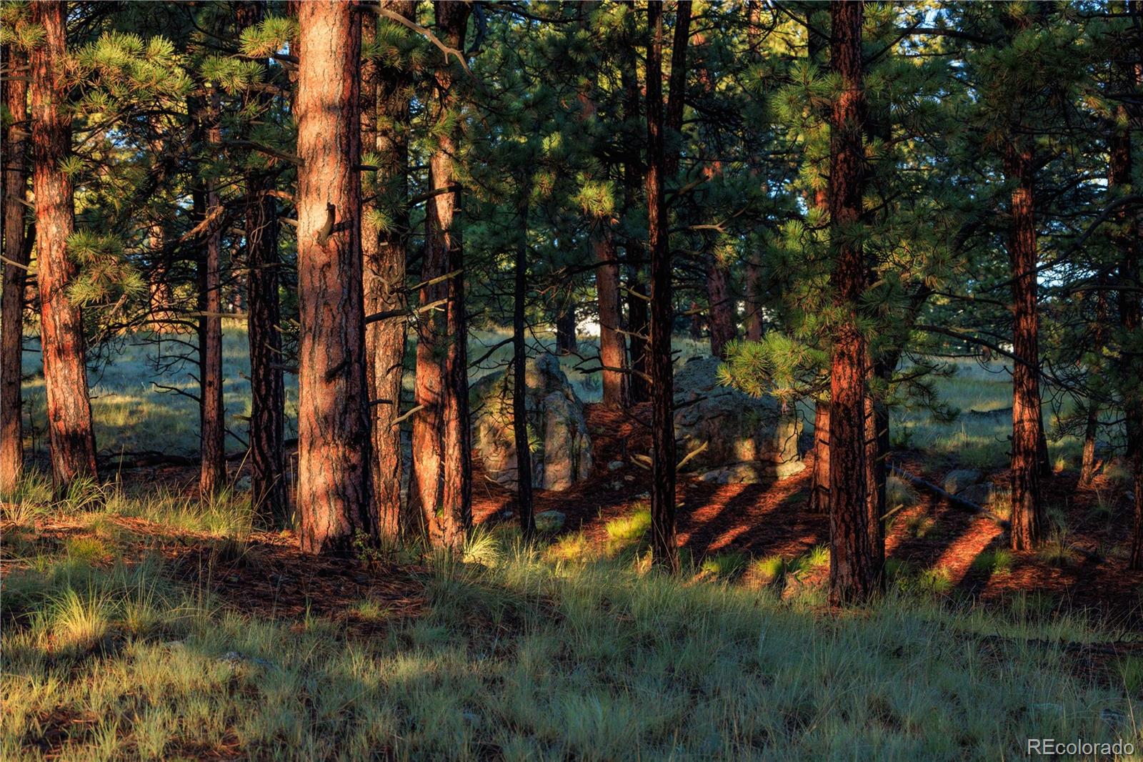 MLS Image #2 for 1699  sangre dr ,westcliffe, Colorado