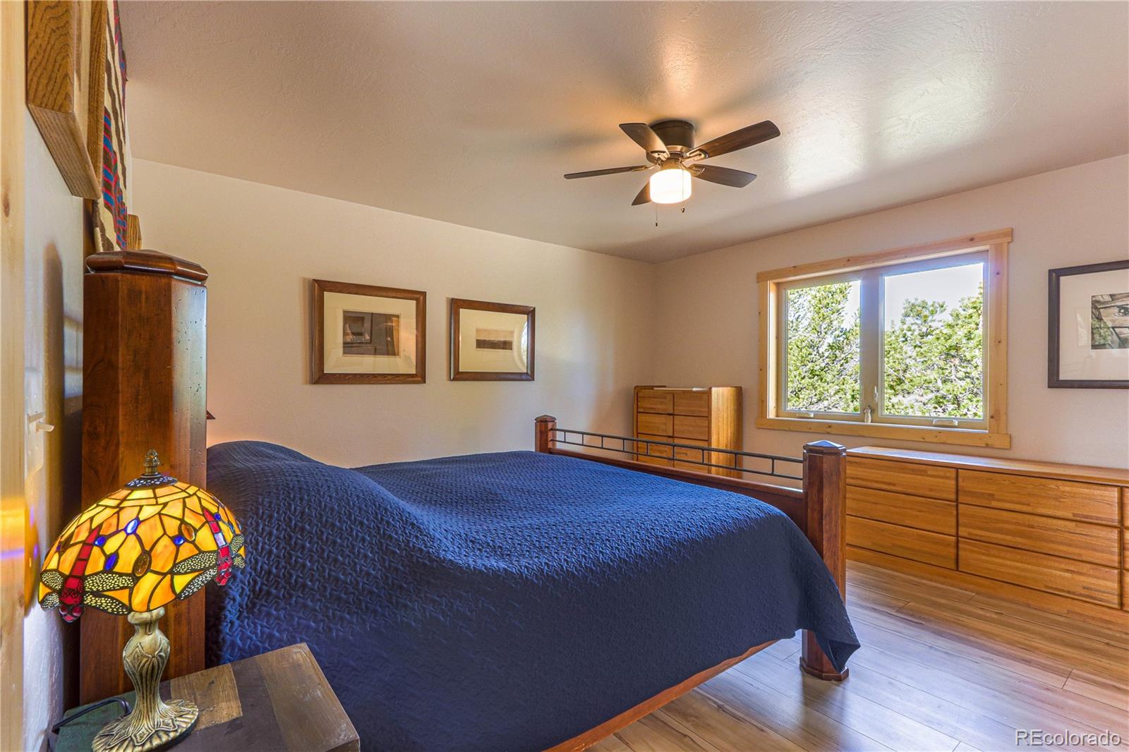MLS Image #21 for 1699  sangre dr ,westcliffe, Colorado