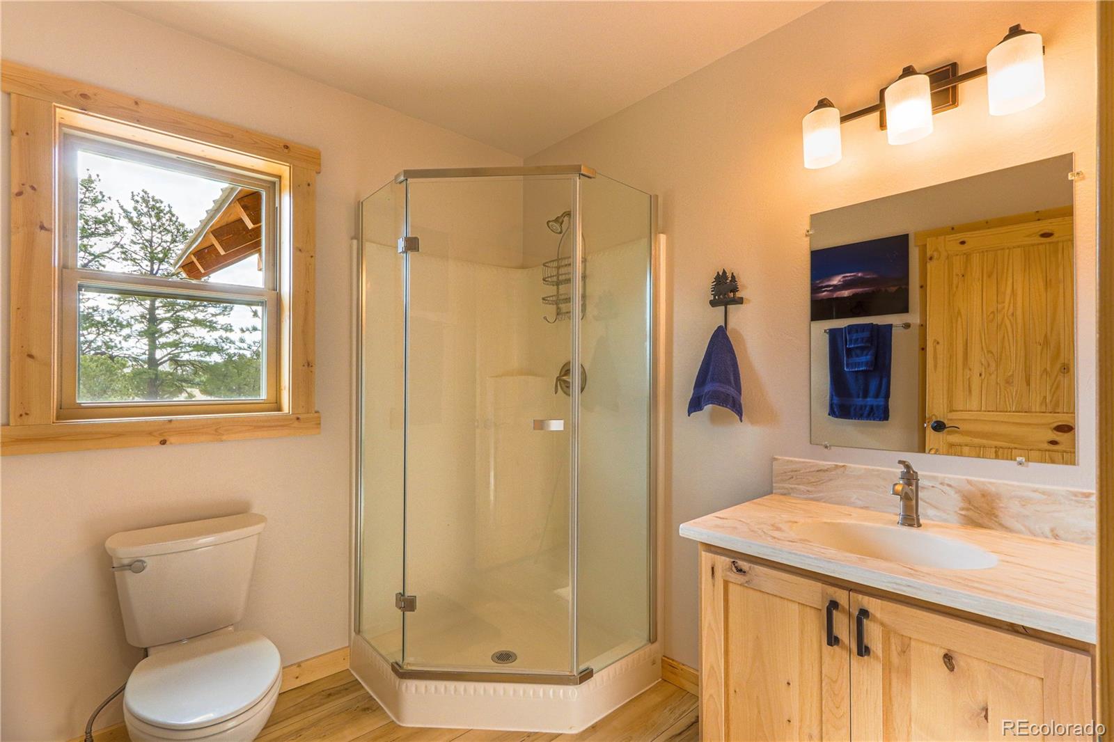 MLS Image #25 for 1699  sangre dr ,westcliffe, Colorado
