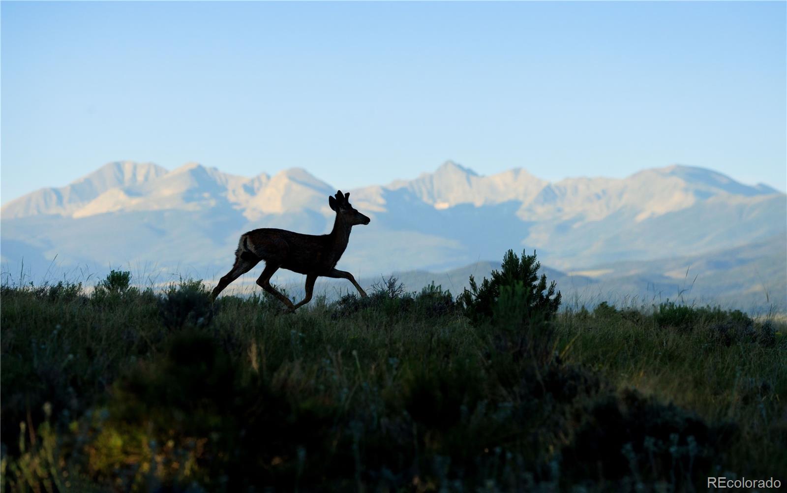 MLS Image #35 for 1699  sangre dr ,westcliffe, Colorado