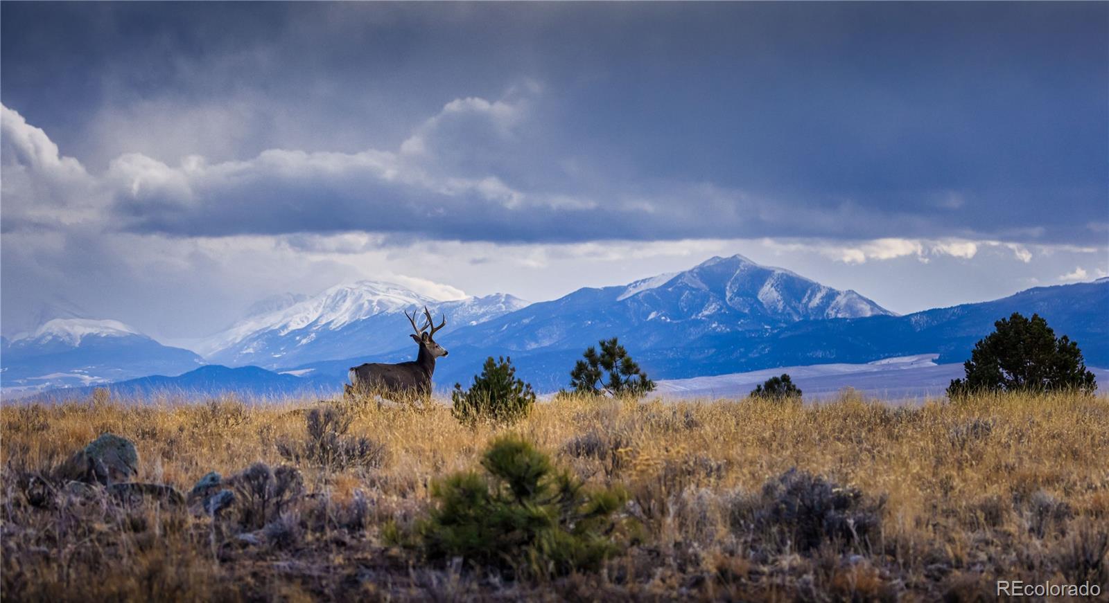 MLS Image #36 for 1699  sangre dr ,westcliffe, Colorado