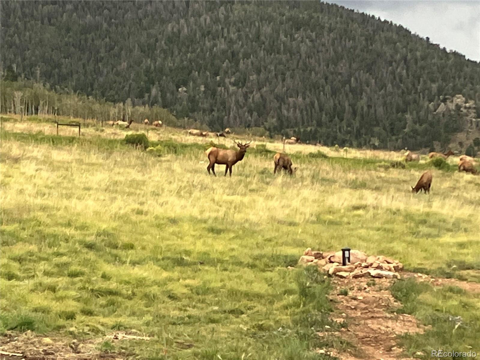 MLS Image #39 for 1115  eagles gate road,westcliffe, Colorado
