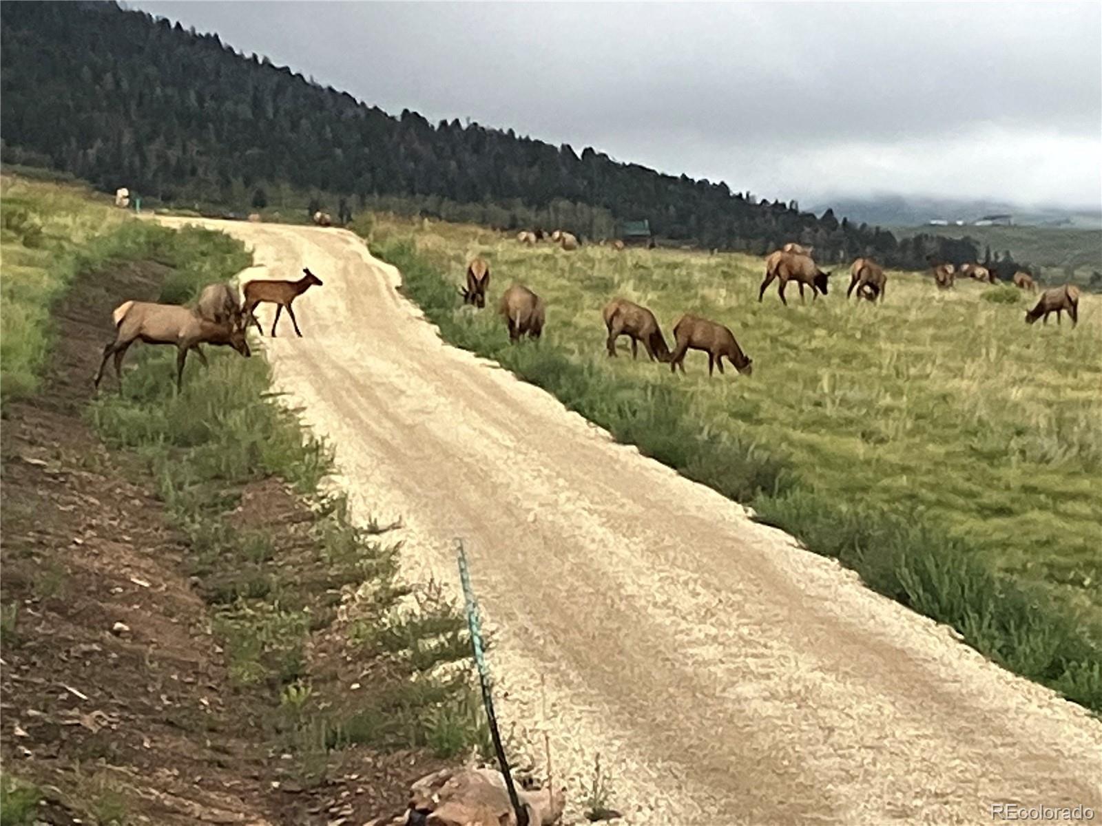MLS Image #40 for 1115  eagles gate road,westcliffe, Colorado