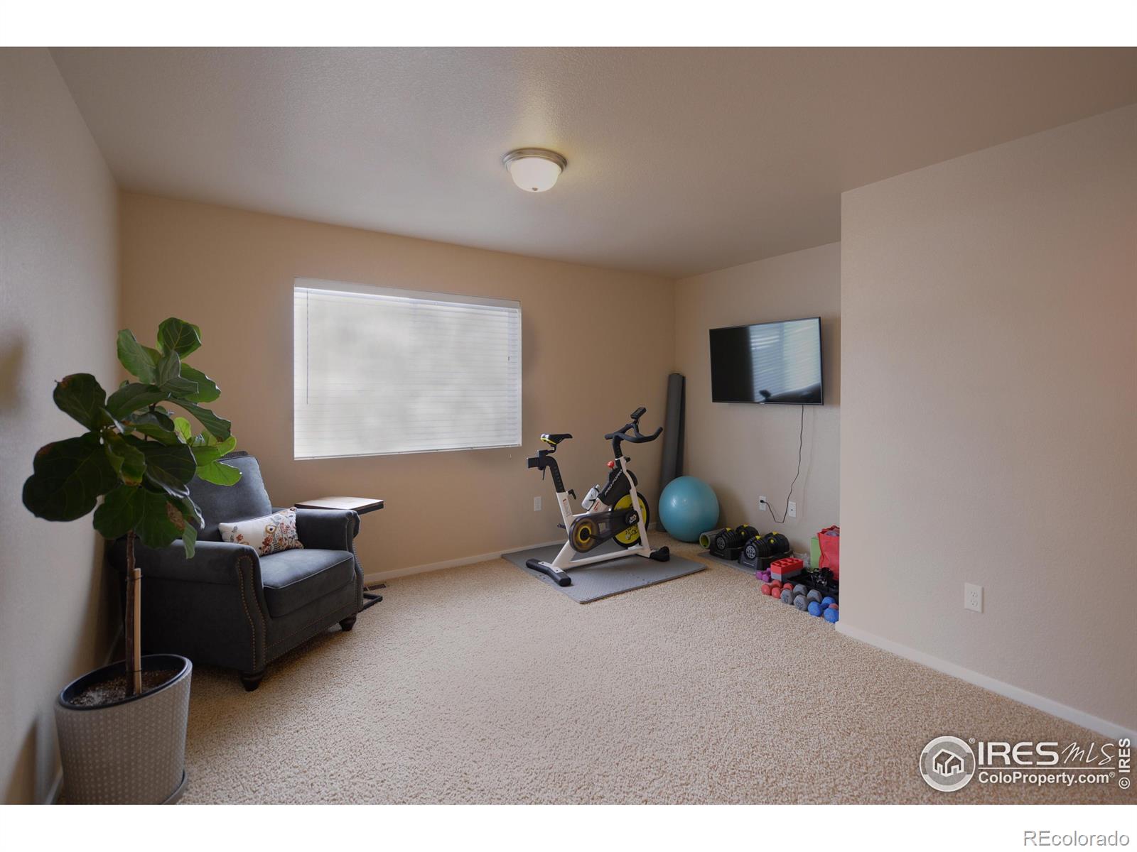 MLS Image #18 for 3007  benfold street,loveland, Colorado